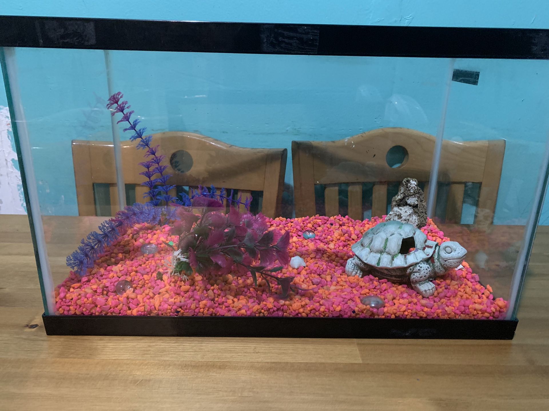 10 gallon aquarium fish tank