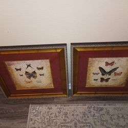 2 Butterfly Paintings 