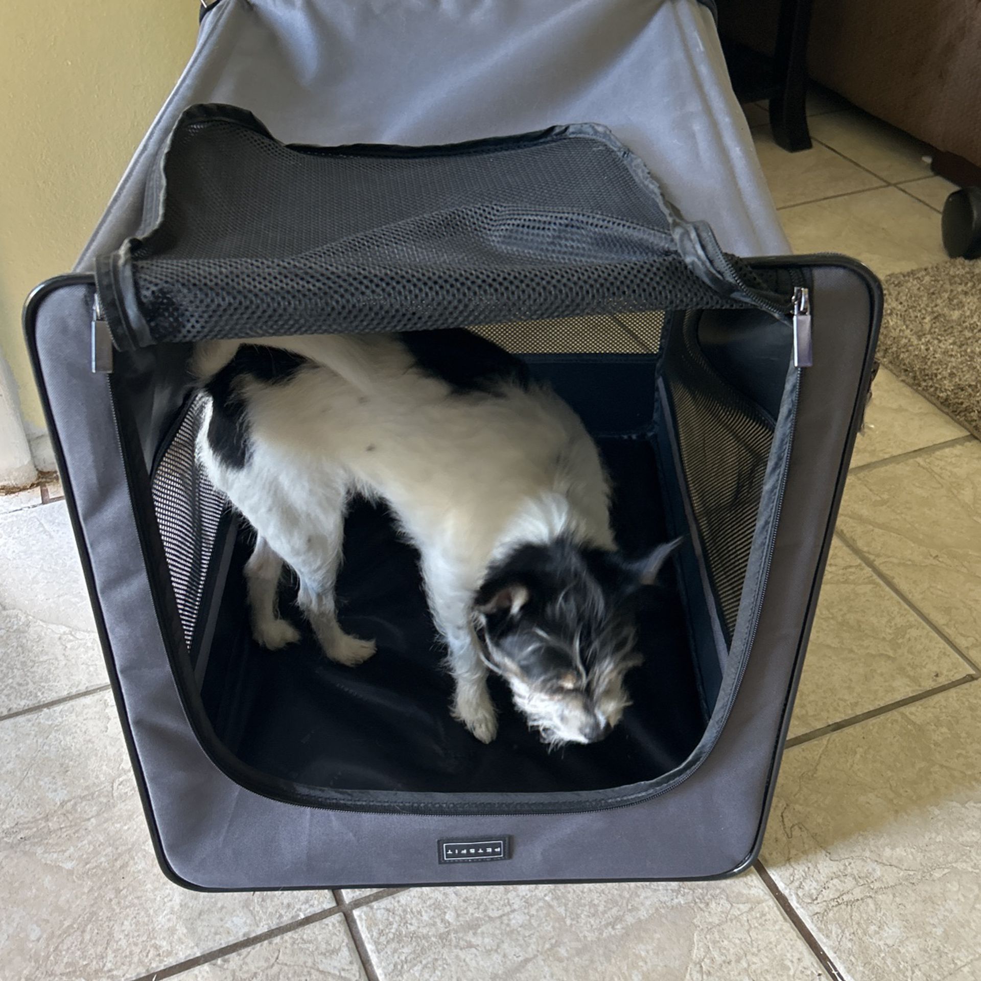 Dog Portable House 🏡 Folds Up 