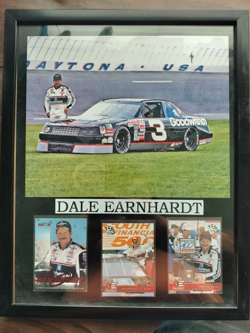 Dale Earnhardt Sr, Kobe Bryant,Geno Smith