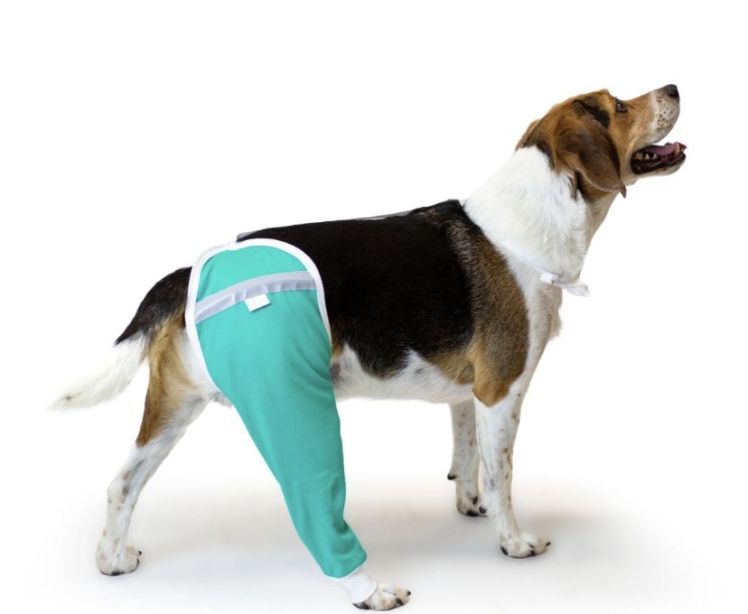 Hip and Thigh Protective Sleeve for Dogs