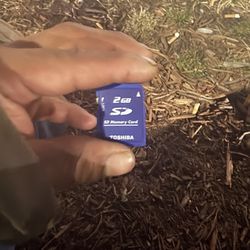 2gb sd card