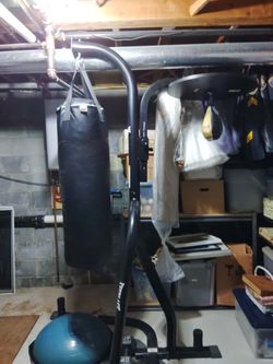 Everlast Punching And Speed Bag