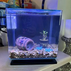Fish Tank Almost New 