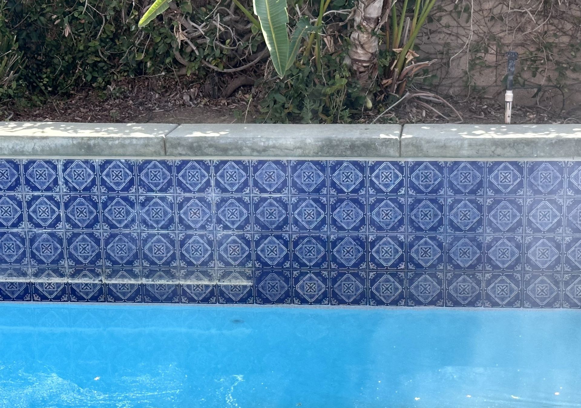 Swimming Pool Tile Cleaning