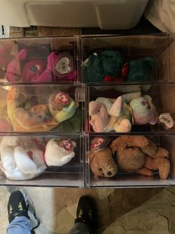 Beanie Baby’s 