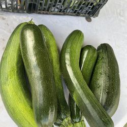 Tengo Calabacitas Tiernas A La Venta Son Orgánicas.  