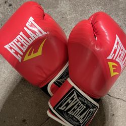 Everlast Boxing Gloves 