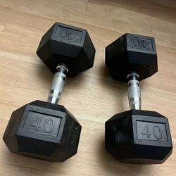 45lb Dumbbells (pair )