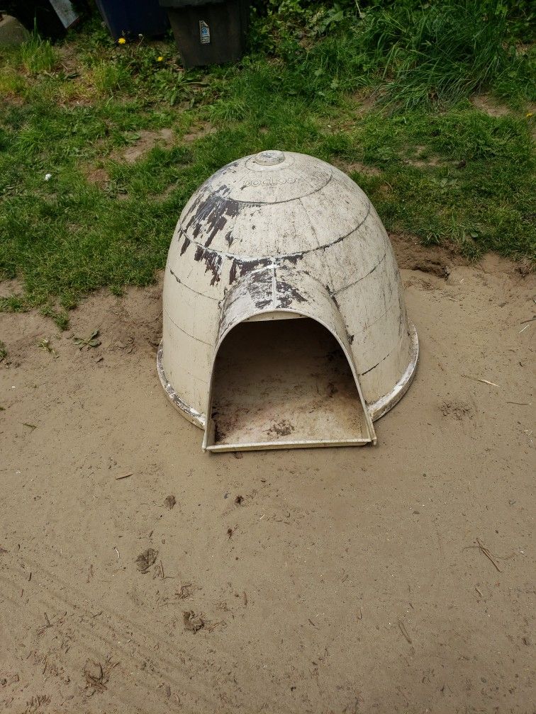 Dog House