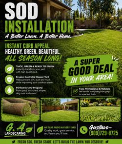 Sod