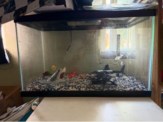 Fish tank