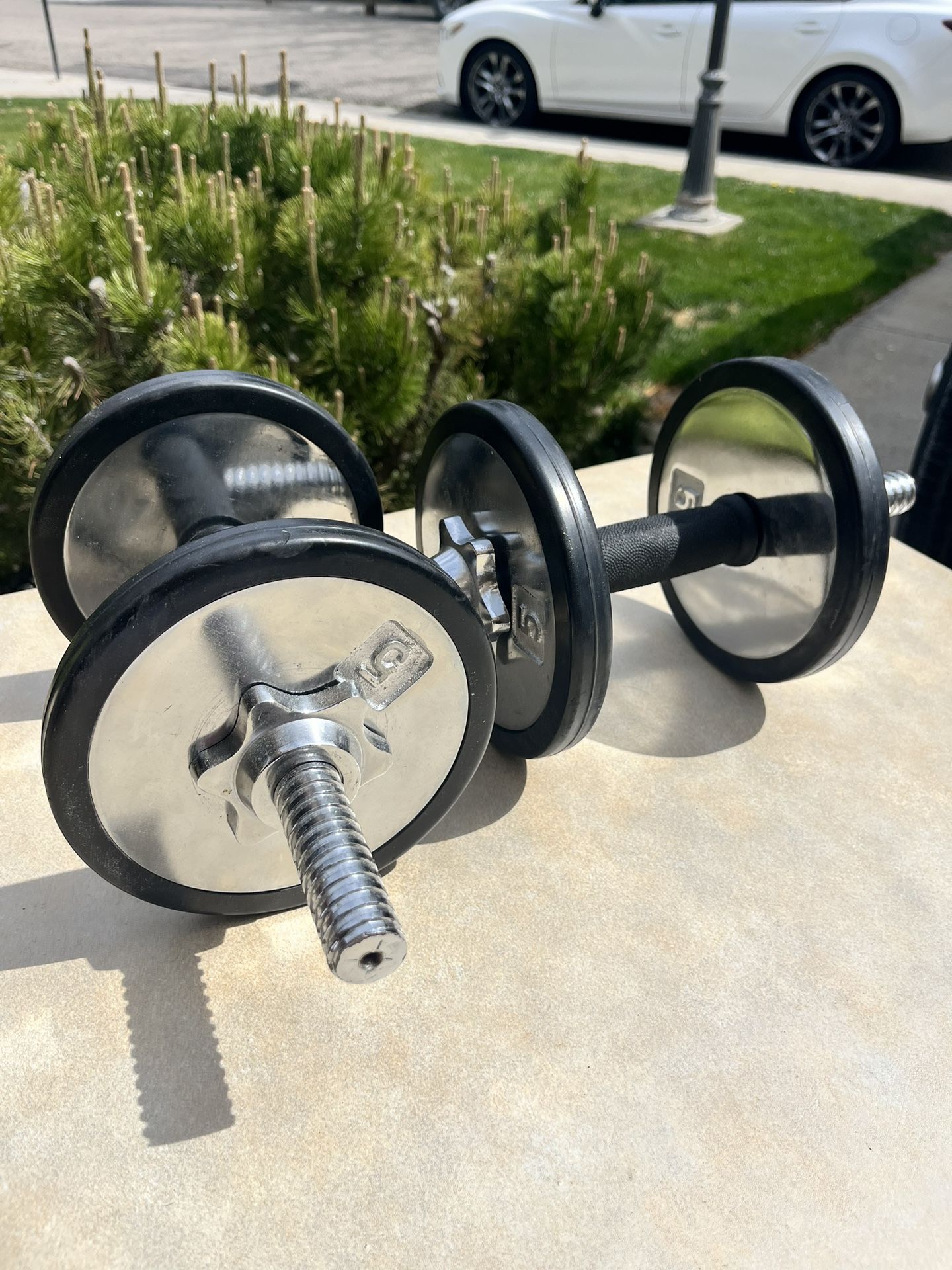 5lb Iron Dumbbells