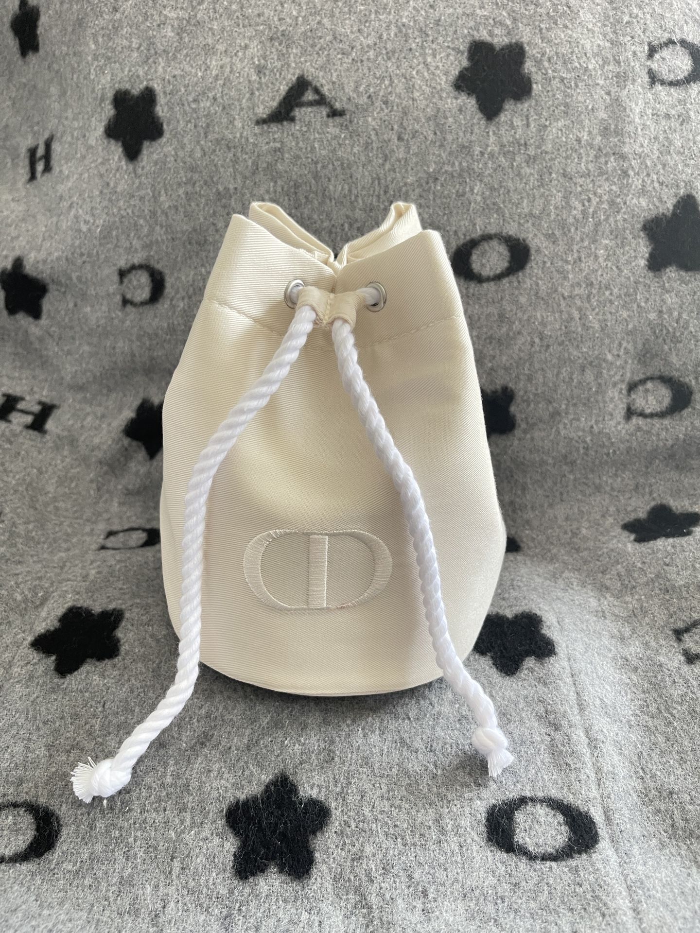 Dior pouch bag