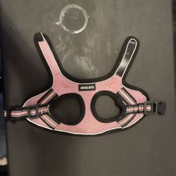 Cat Harness
