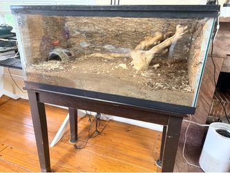 Reptile enclosure