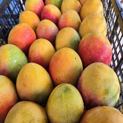  Delicious Mangoes 🥭👌