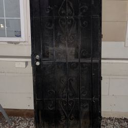 Steel Entry Security Door