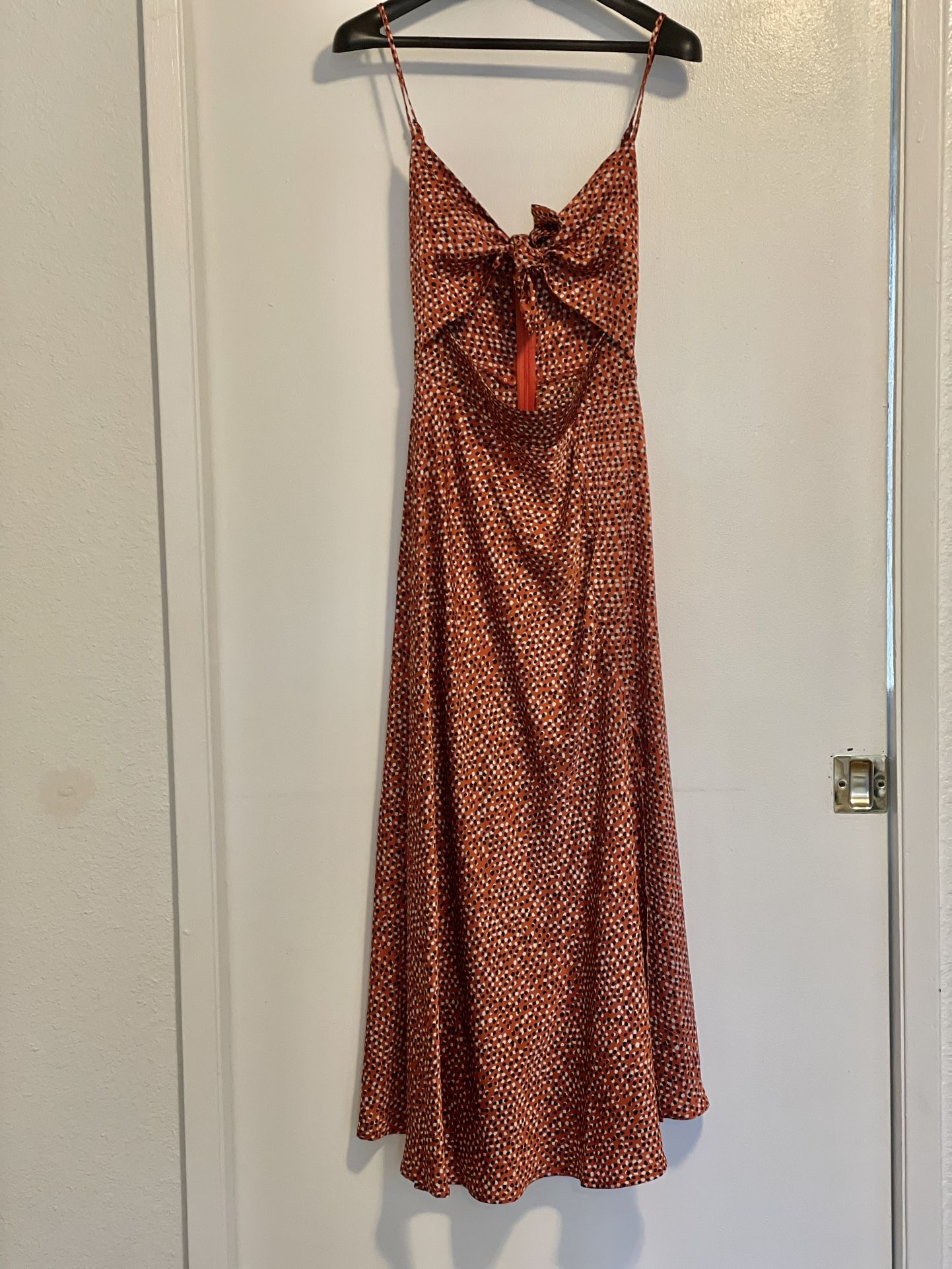 Petal and Pup Summer Dress