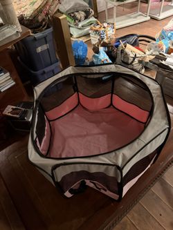 Small Dog Play Portable
