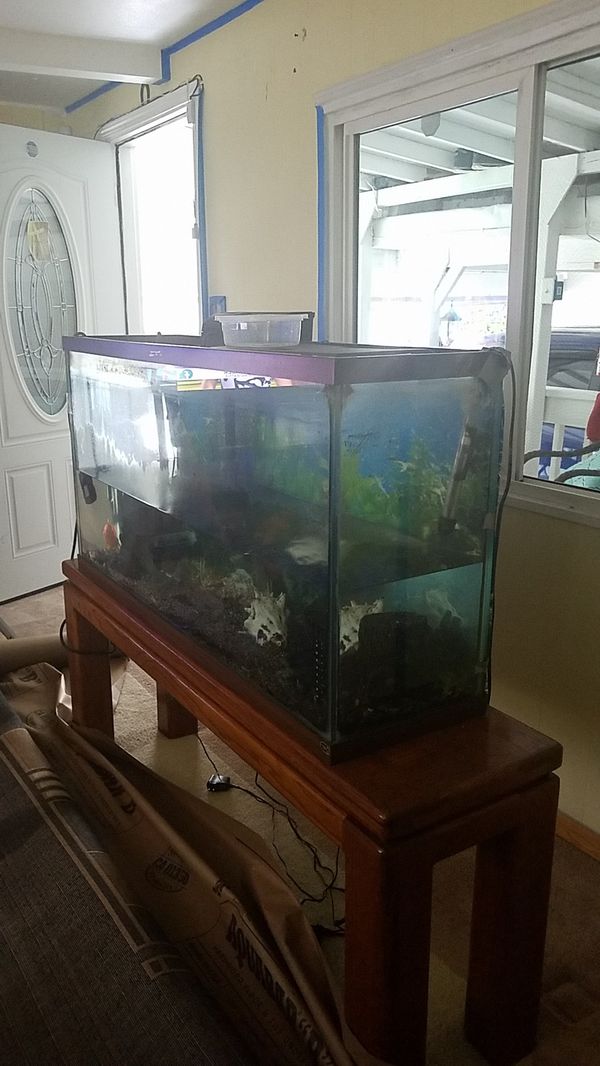 50 gallons fish tank for Sale in Auburn, WA OfferUp