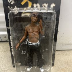 2 PAC Action Figure Collectible 