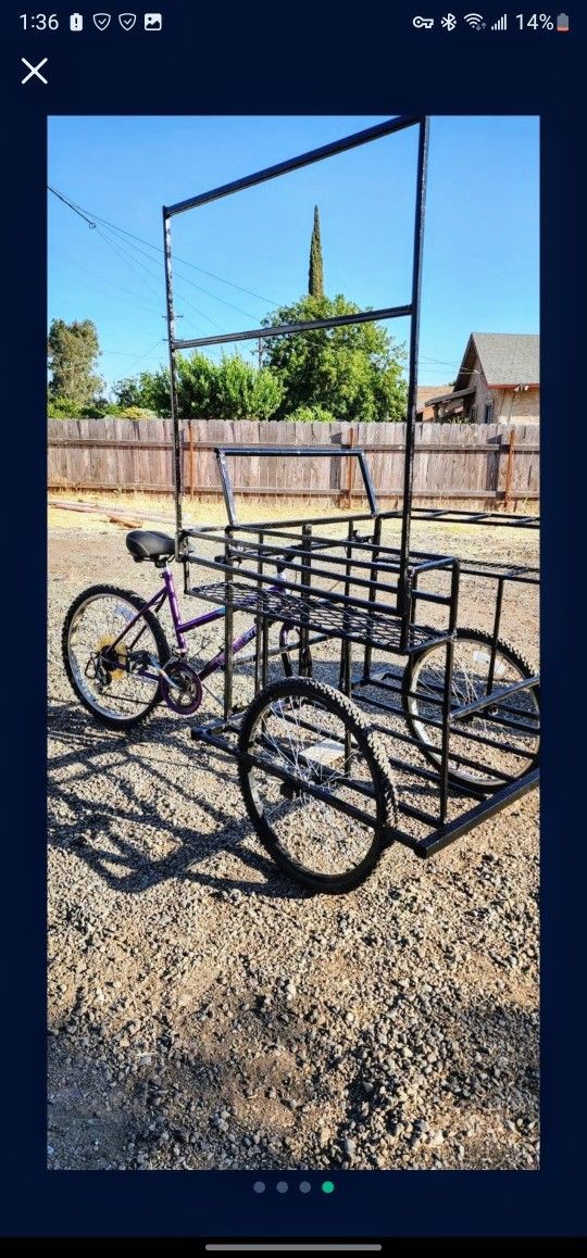 Custom Bikes