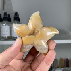 Agate Starfish With Druzy Healing Crystal 