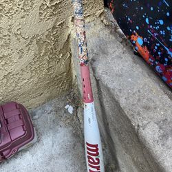 Marucci Cat 7