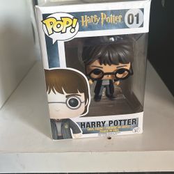 Harry Potter Vinyl