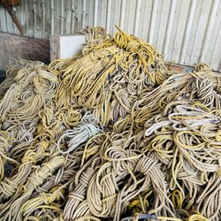 Soga para pinos de navidad 