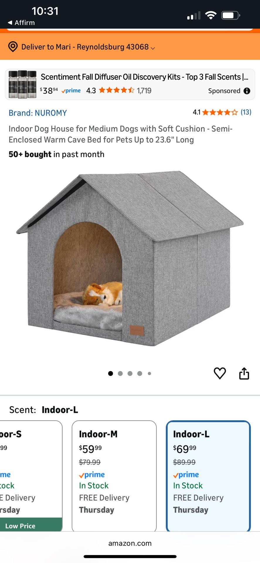 New Never Used Dogs House