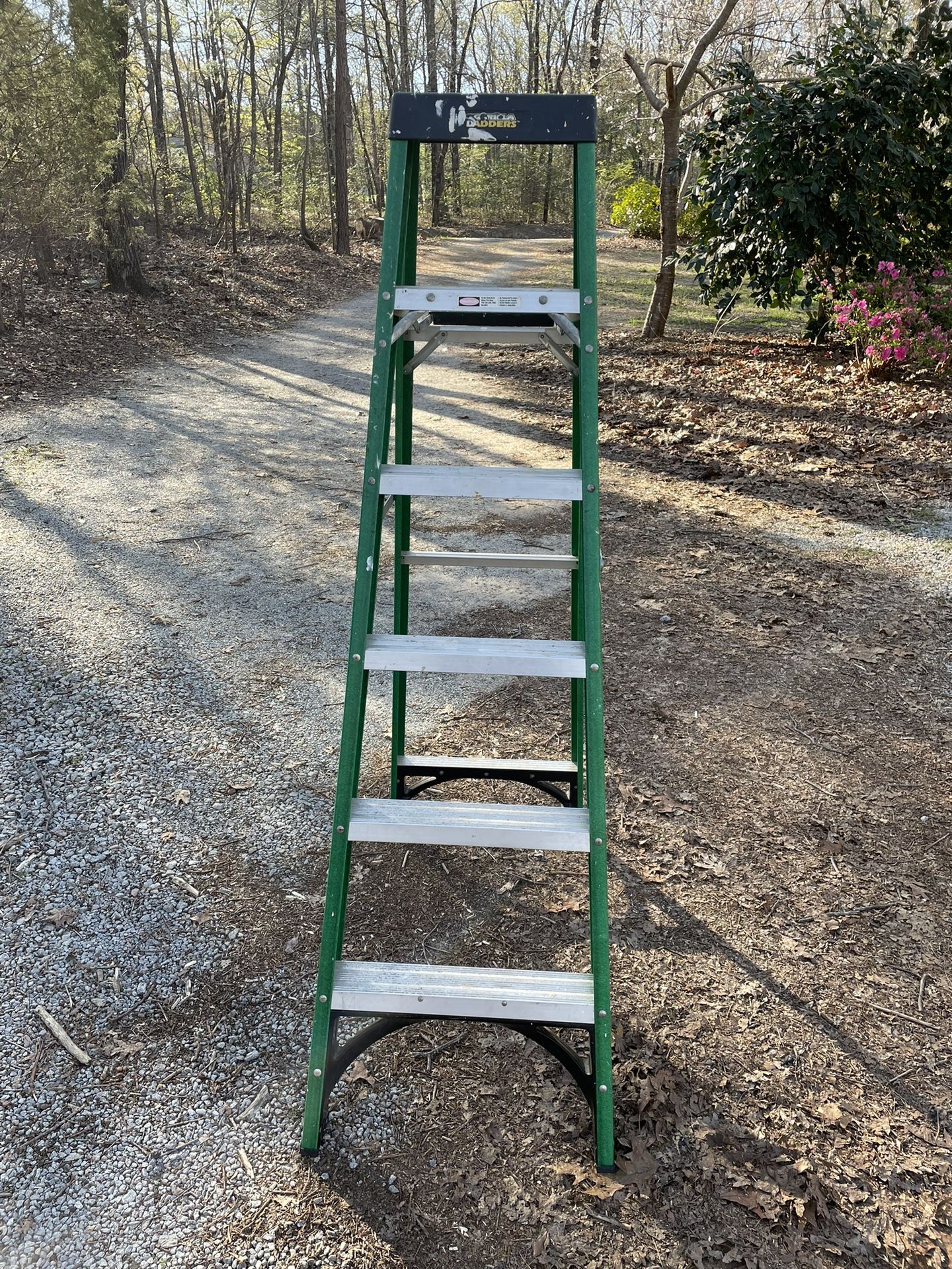 Six Ft Fiberglass Ladder