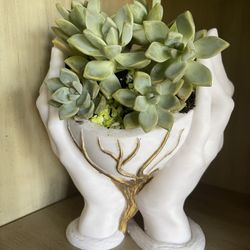 3D Planter Two Hands Holding A Heart With Real Succulents 
