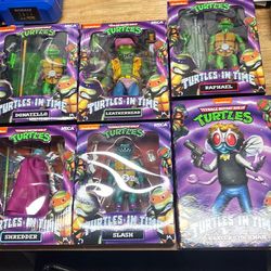 Teenage mutant ninja turtles