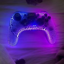 Nintendo Switch Controller 