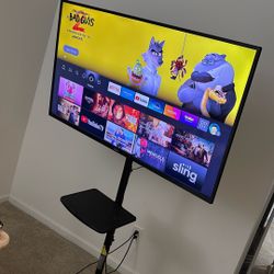 50” SEIKI LED TV + Rolling Adjustable TV Stand – Great Condition!