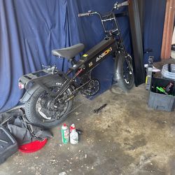 Electric Bike
