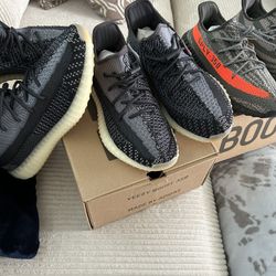 Adidas Shows