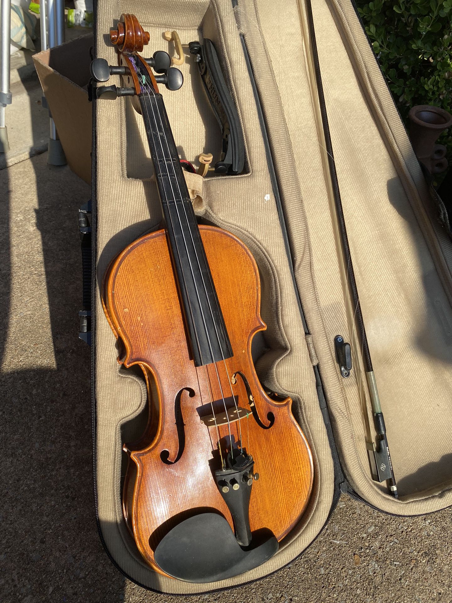 Violin Full Size 