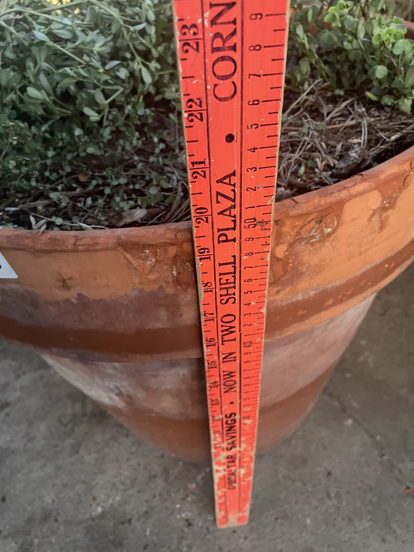 Ceramic Pot 