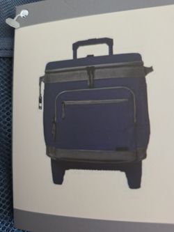 Rolling ice chest