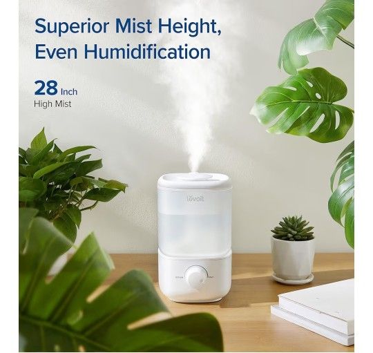 Humidifier For Bedroom