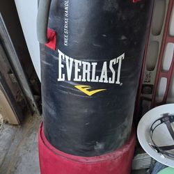 Everlast MMA Heavy Bag.
