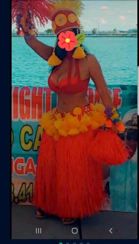 Hula Skirt Hawaiian / Tahitian Costume