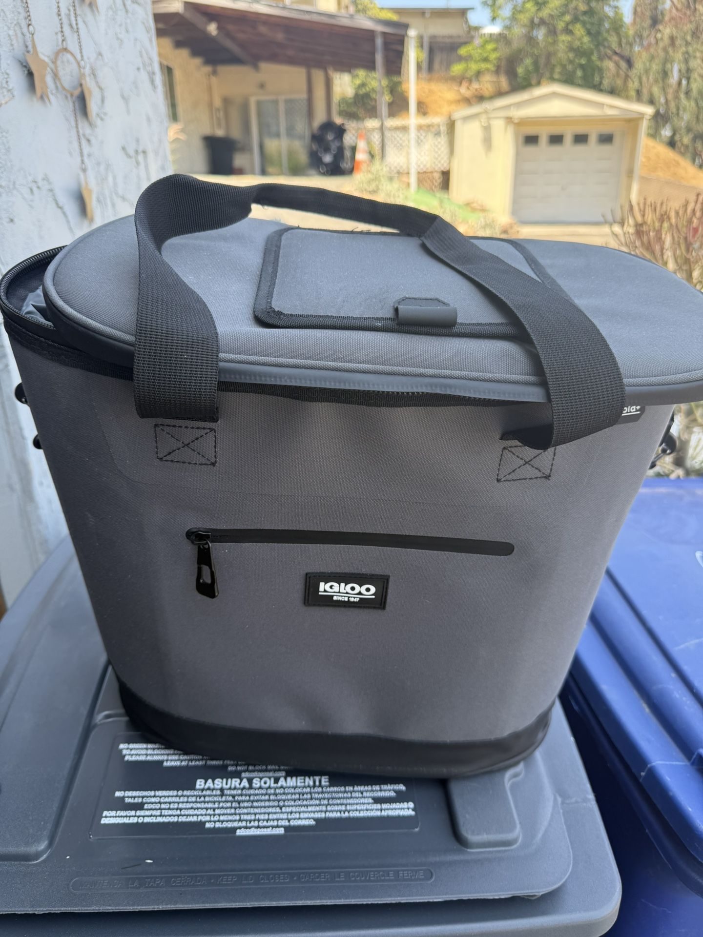 Igloo Cooler Bag