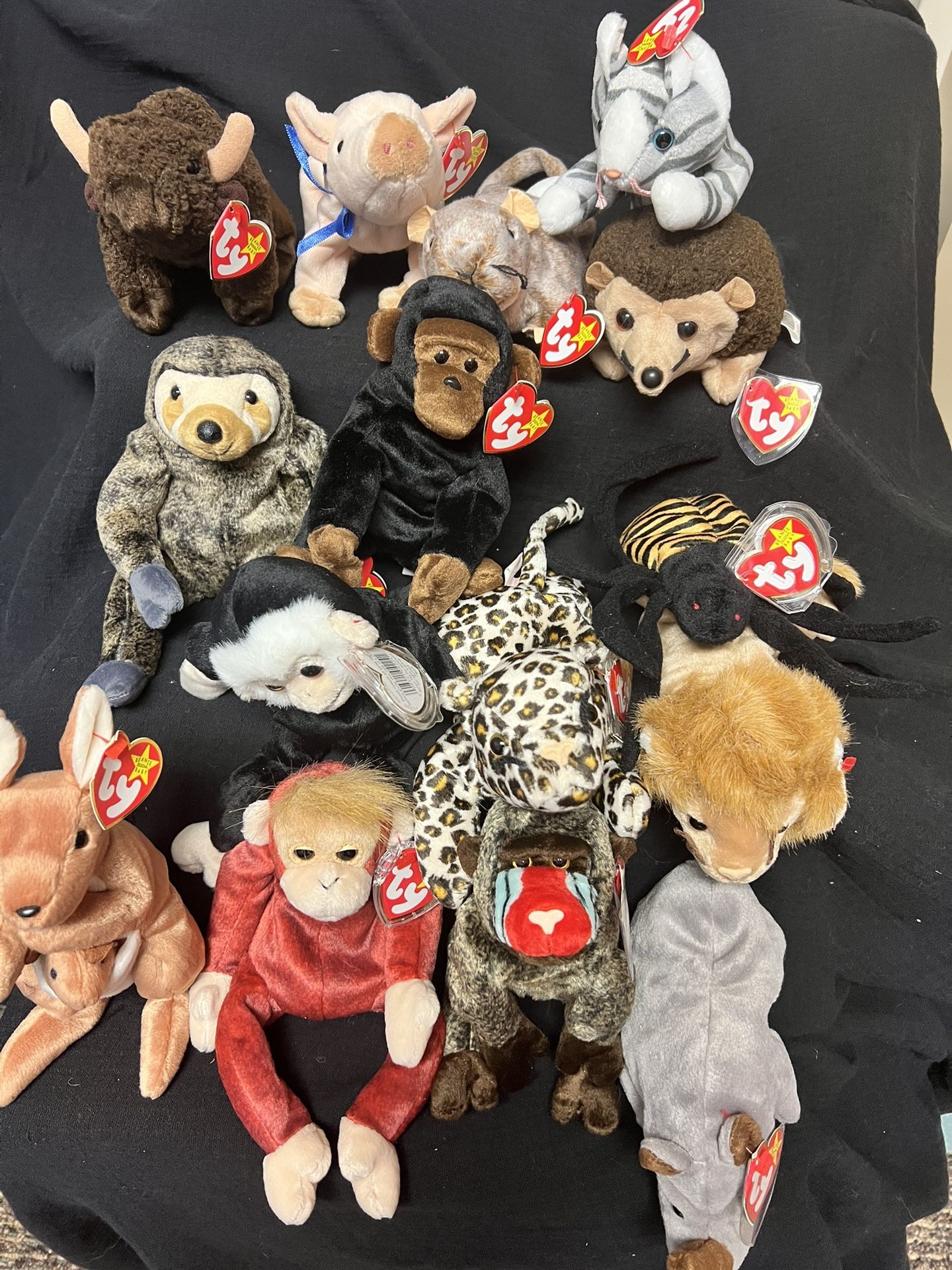 TY ❤️ Beanie Babies Safari Zoo Lot  1990's with  all tags 🐒🦁🕷️