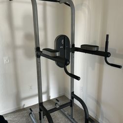Gold’s Gym Pull up And Dip Station