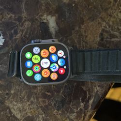 Apple Titanium Watch 