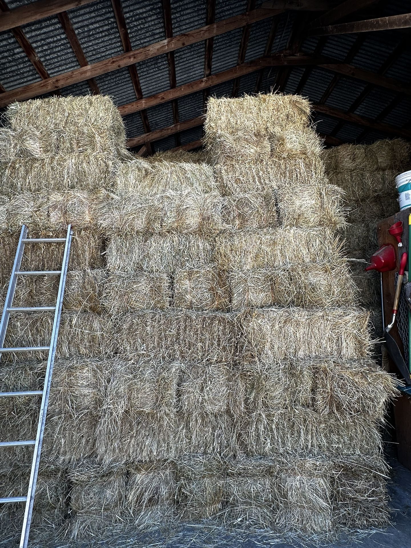 Beautiful Local Grass Hay